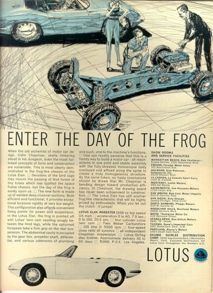 64_enter_day_frog.jpg