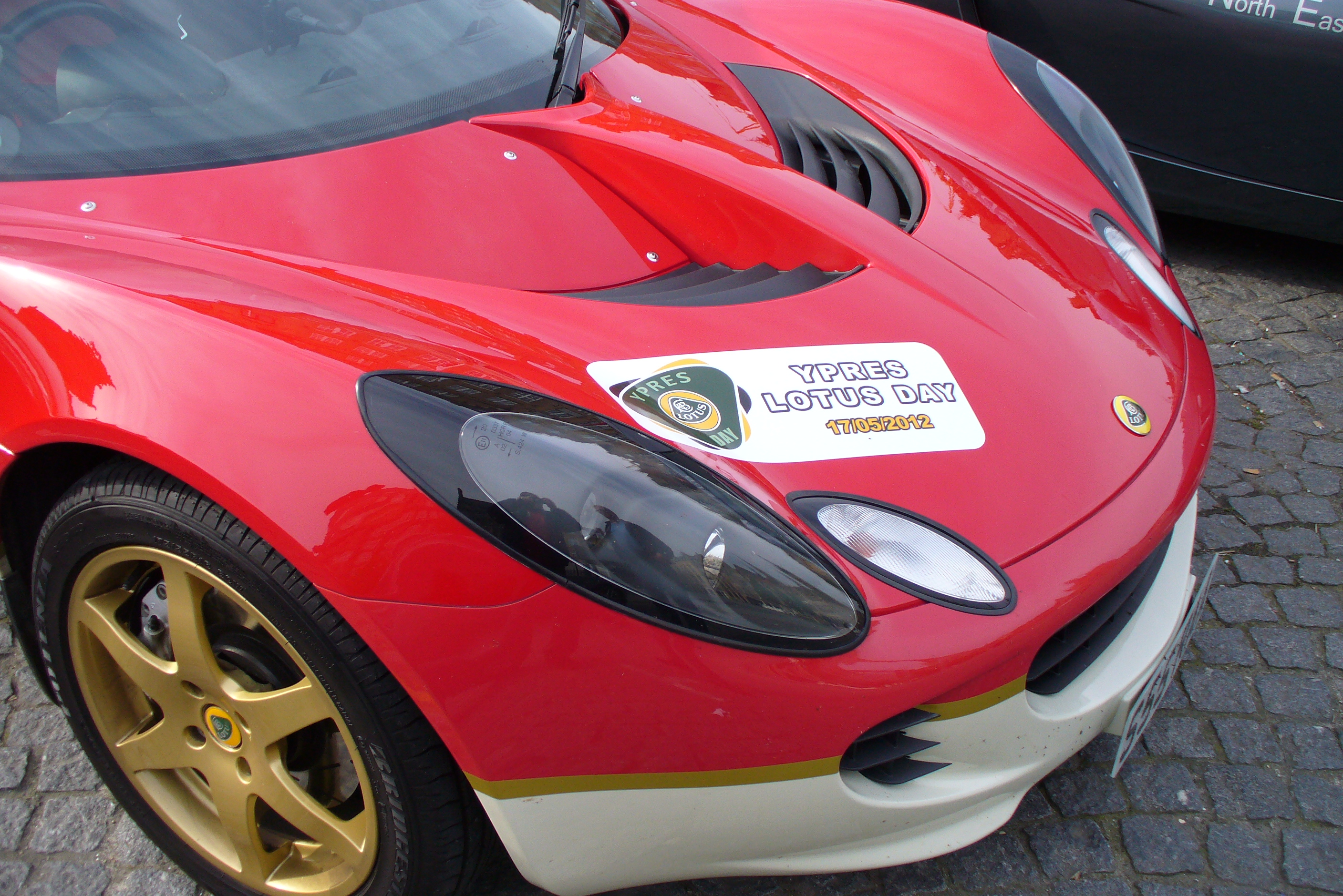 Lotus Dirk 025.JPG